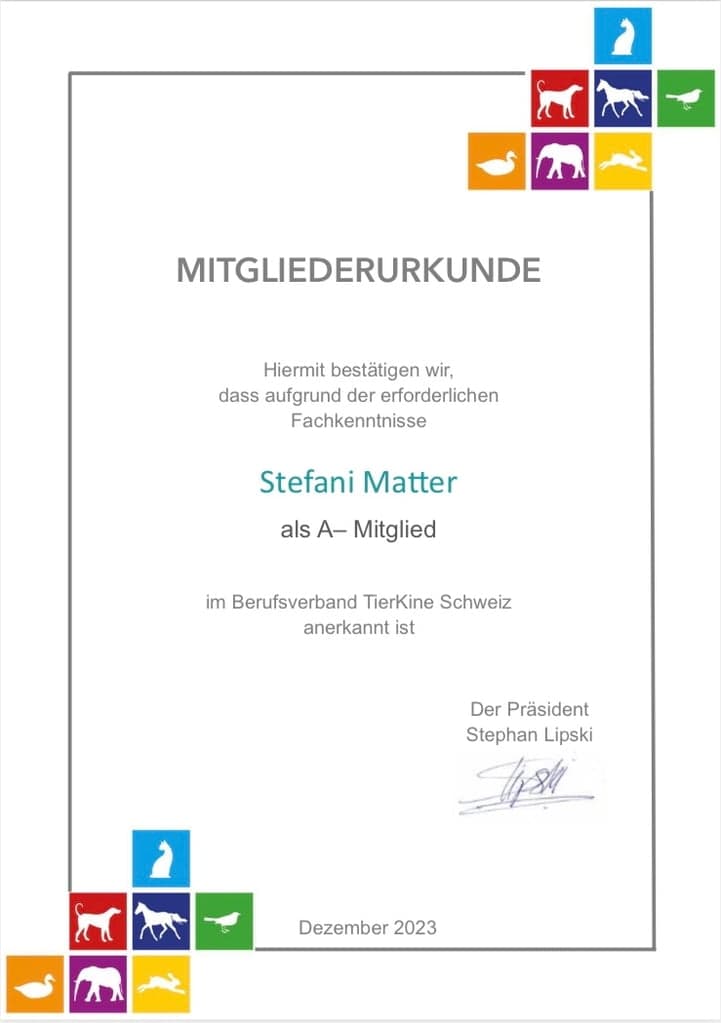 Mitgliederurkunde Berufsverband TierKine Schweiz