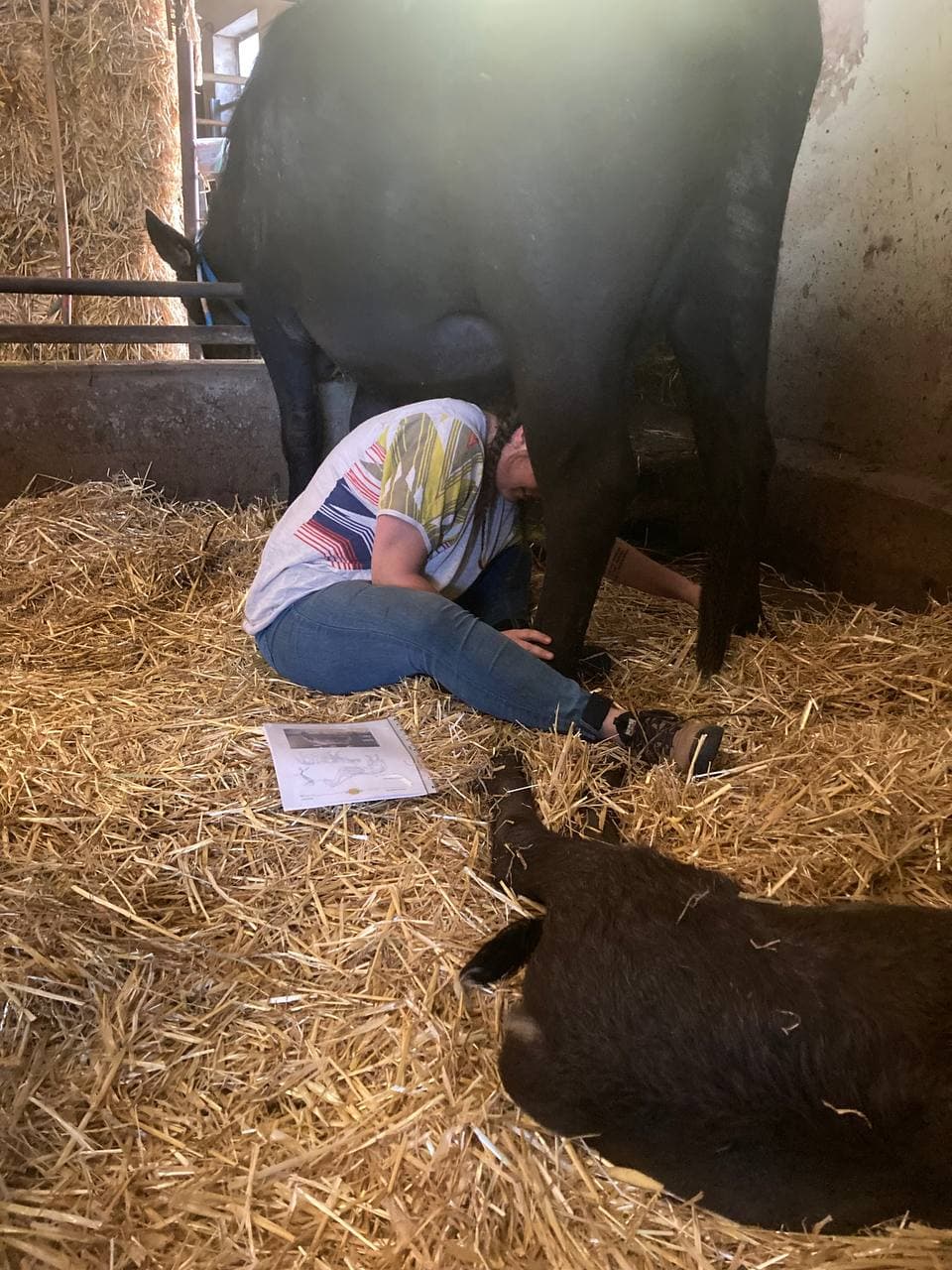 Akupressur-Behandlung