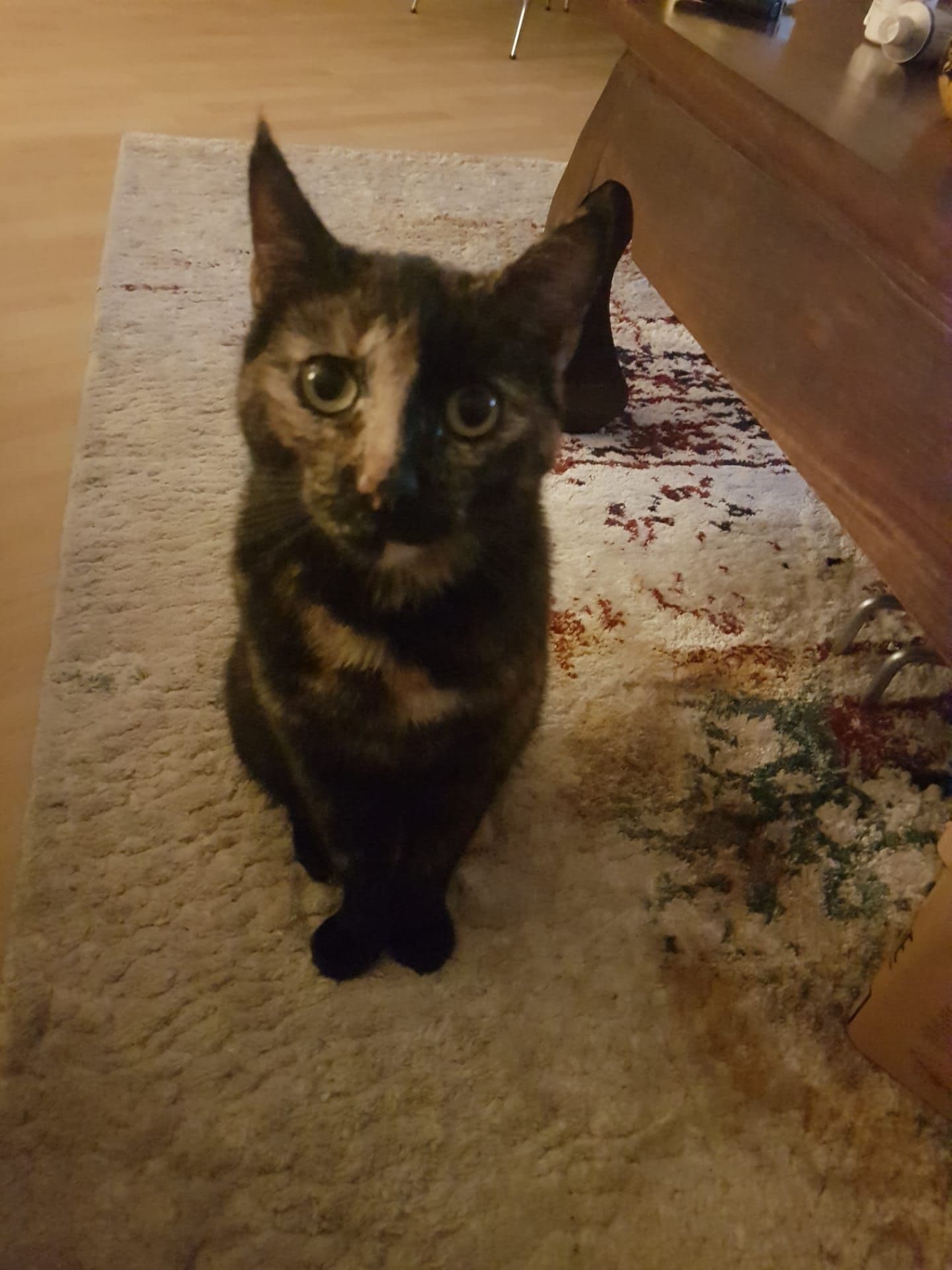 Maggie